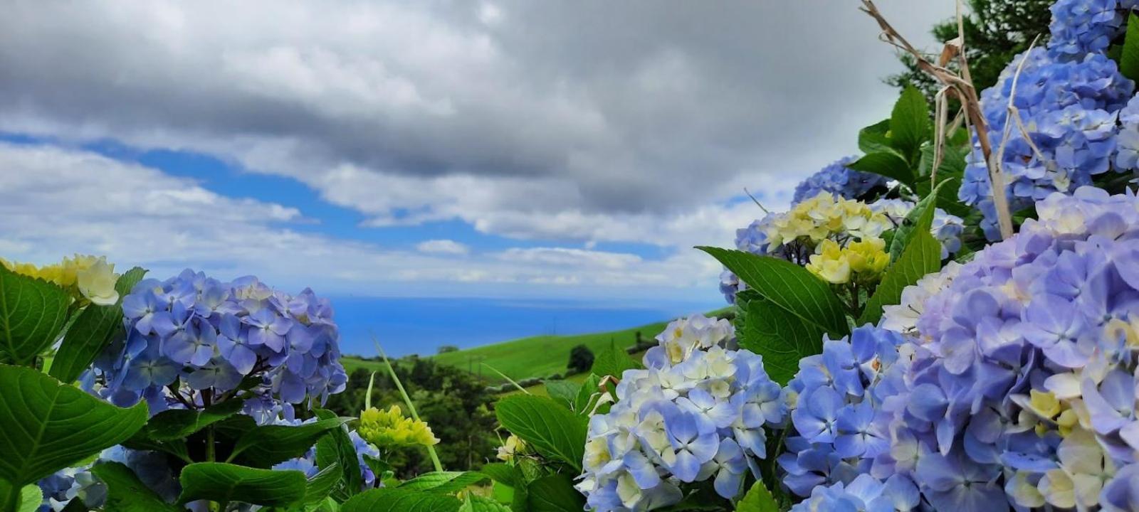 Quinta Da Espadana Povoacao  Exteriör bild